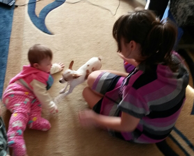 Новогоднего немного ♥ и фотки