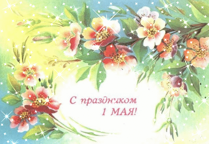 Совместник РИОЛИС. Пятнадцатый отчетный.