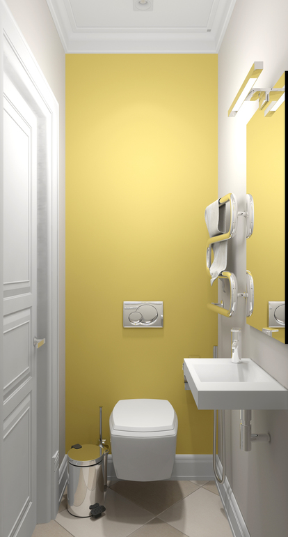 Санузлы: гостевой маленький  и большой хозяйский