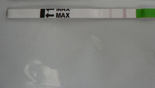 Ранняя овуляция?