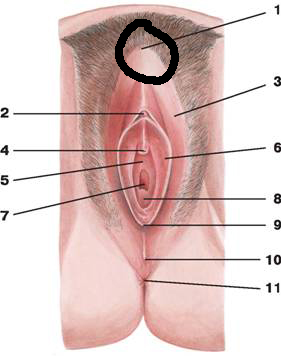 Странный зуд.