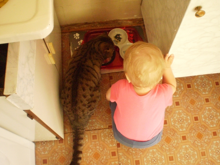 Лиза и кот