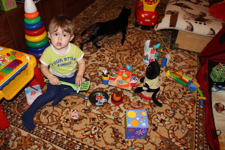 ТН Домашние животные. День 5. Заключительно-кошачий