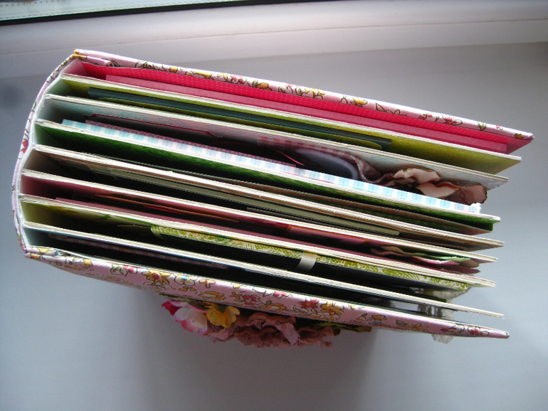 Альбом первого года жизни Алисы