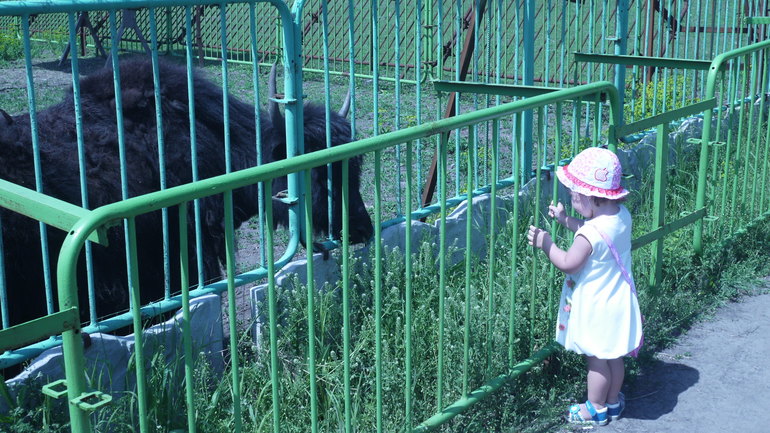 Зоопарк и Даша