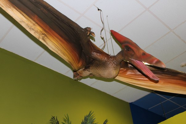 Музей динозавров в ТЦ Москва.