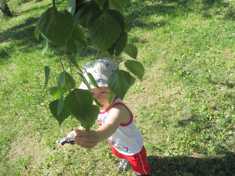 ТЗ Маша и медведь.