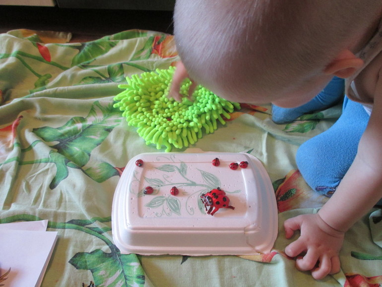 ФМ Как растут овощи.День четвертый