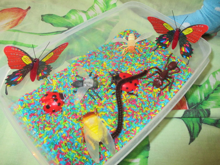 ФМ Как растут овощи.День четвертый