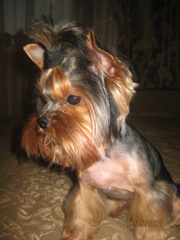 Знакомьтесь!