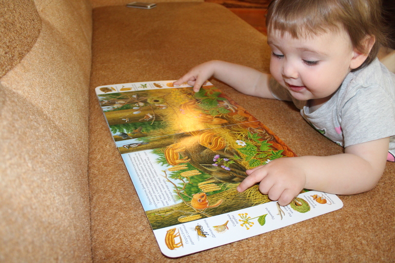 ТН "Навстречу природе"