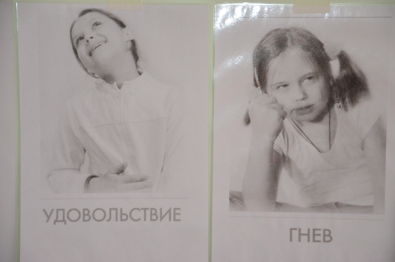 ТН Эмоции. Удовольствие и гнев.