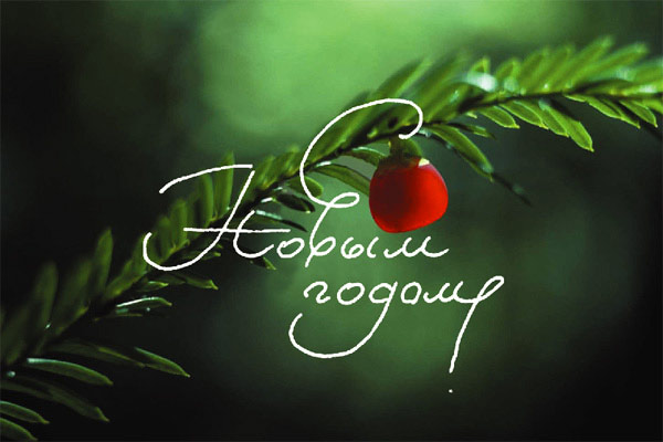 Любимые мои!