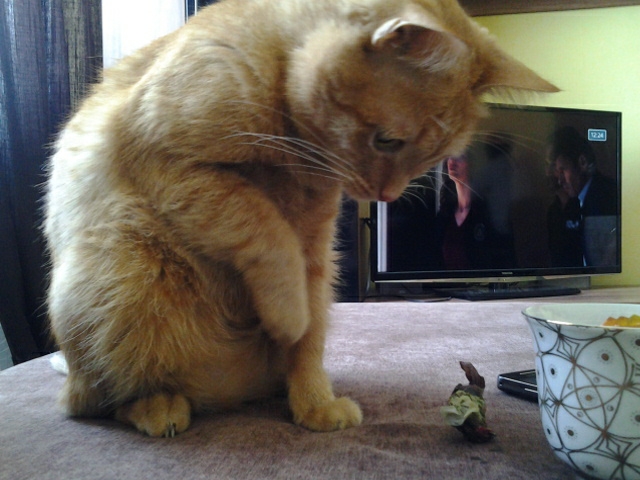 мой толстожопик)))