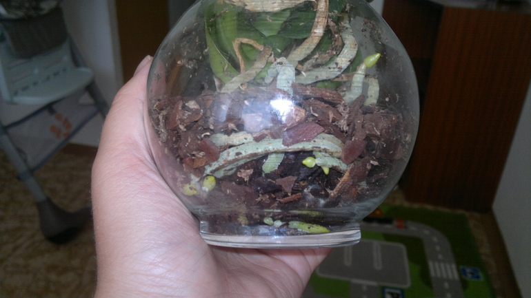 Помогите, пожалуйста!