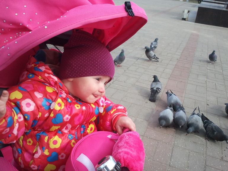 Погуляли,гулей покормили,травку пощипали)))