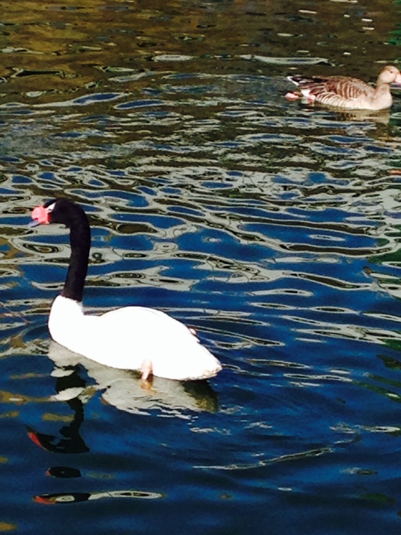 ЗООПАРК. Открытие сезона 2014.