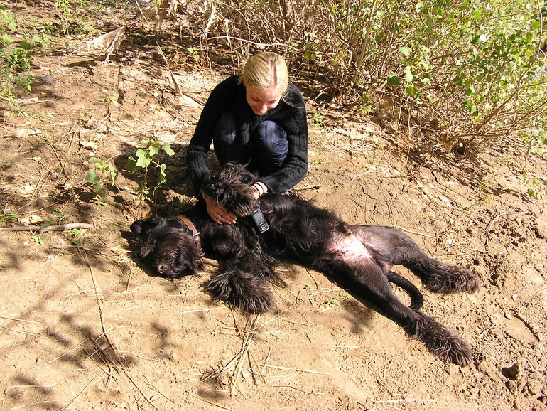 Мой зверинец