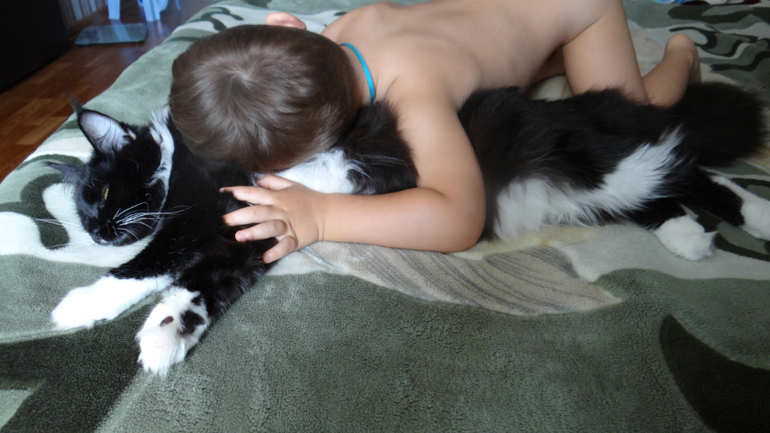 Любимая игрушка)))