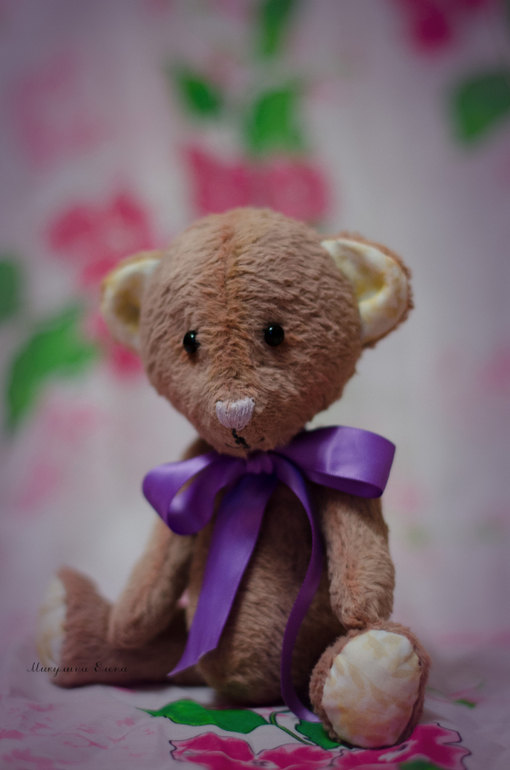 первый Мишка