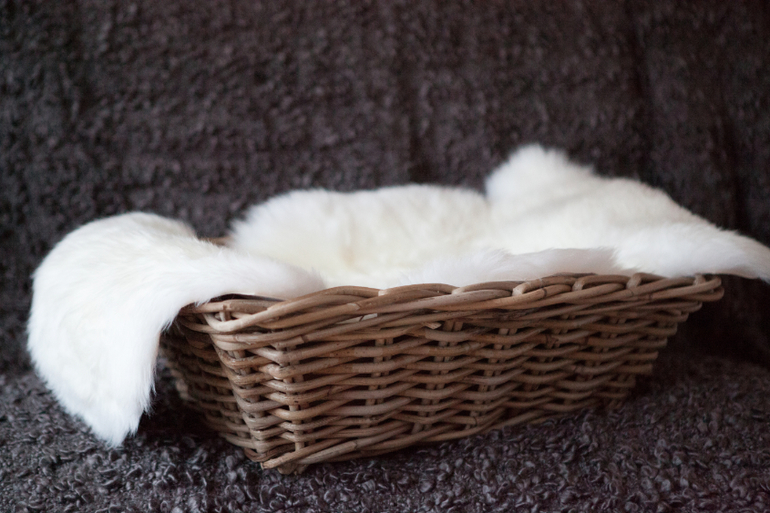 TFP новорожденные