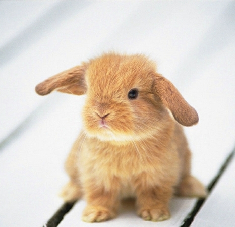 Урок №2. Вырезаем объект