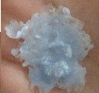 Что пообещали мне на 2014 год