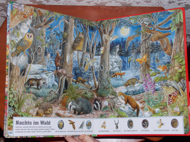 Развороты Mein Anne Suess Suchwimmelbuch by Anne Suess