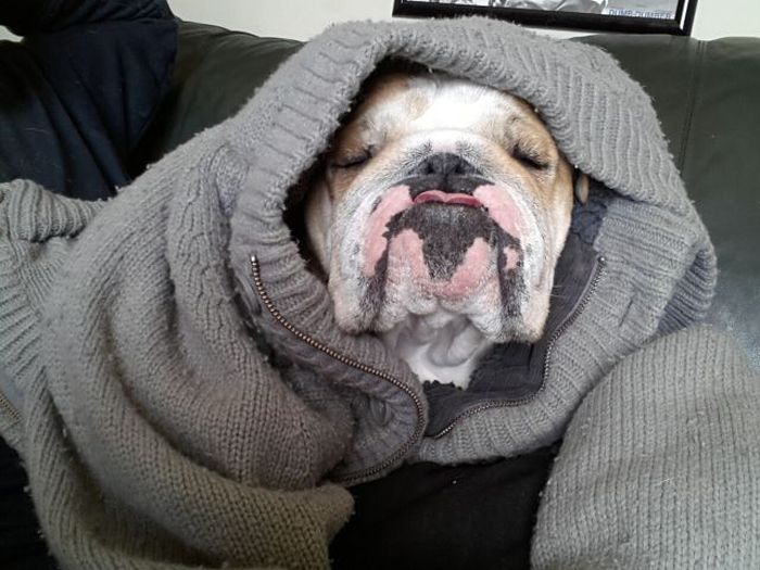 Немного настроения на четверг=)))