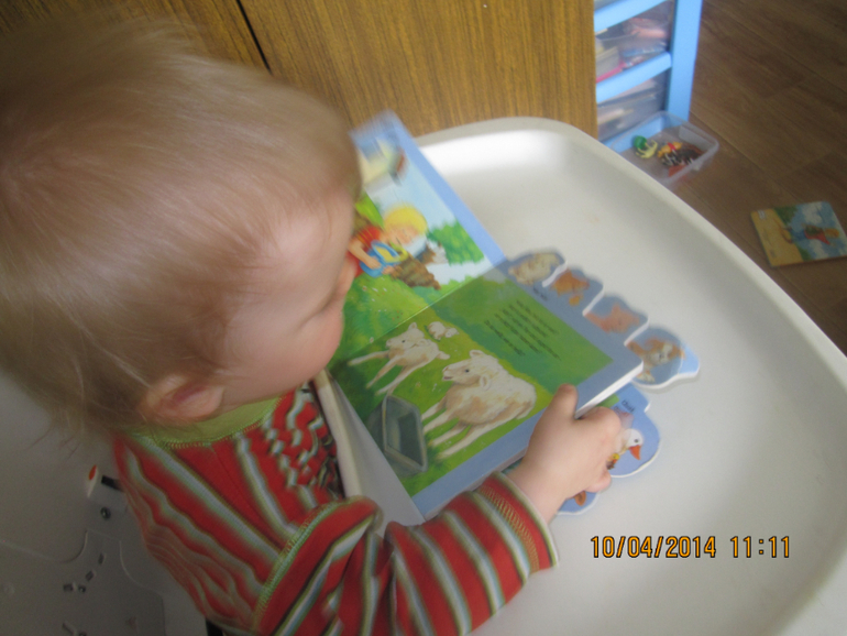 ТН "Скотный двор". День 4 - Овца