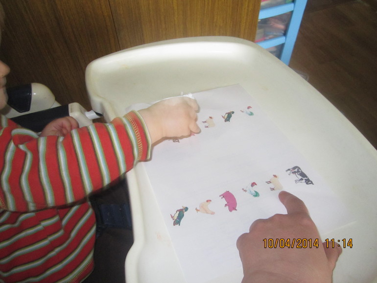 ТН "Скотный двор". День 4 - Овца