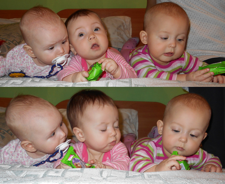 Стоп прикорм!