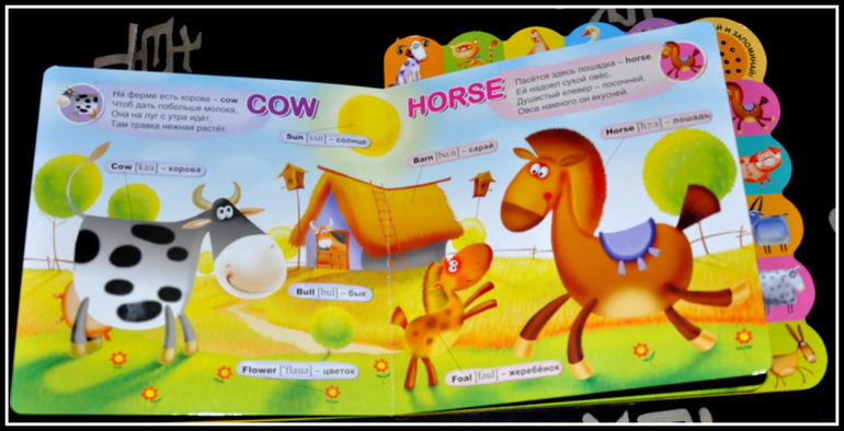 Книгообзор 6.