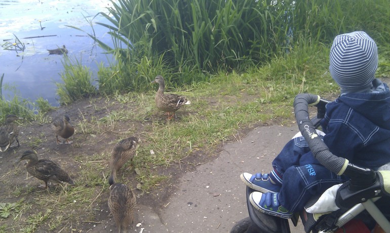 Покормили уточек фотоотчет))