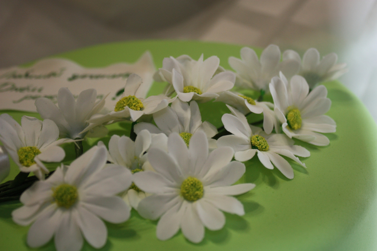 Мои первые ромашки!