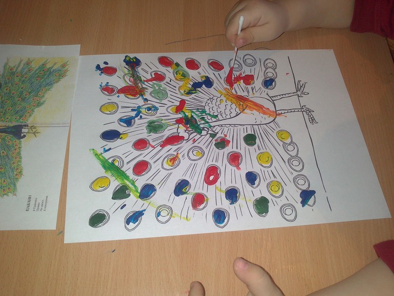 ТЗ " Экзотические птицы"