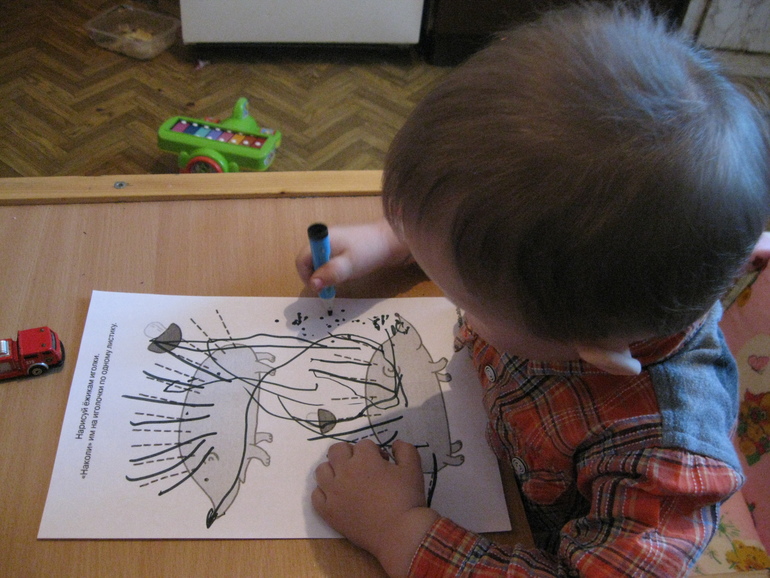День четвёртый . Ёжик.