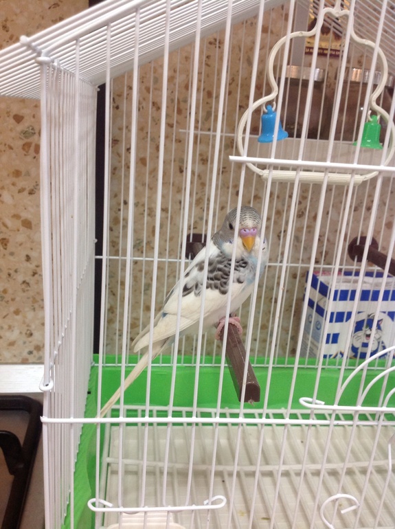 Наш Марсель!