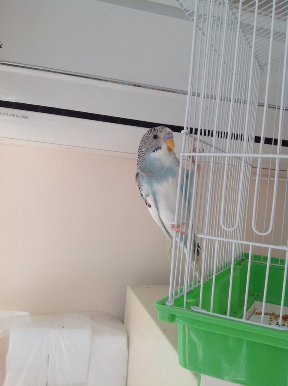 Наш Марсель!