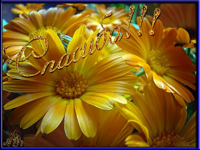 Хочу выразить огромную благодарность нашей Фее Алле!