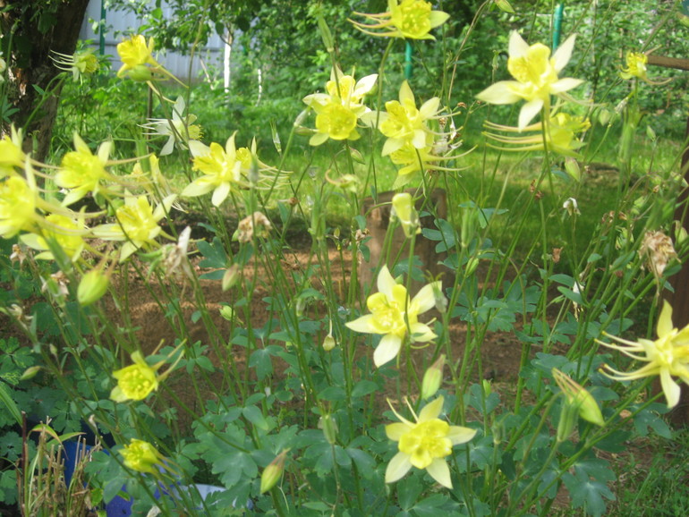 Летние, часть 1)