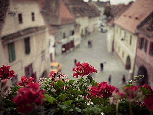 Для поднятия настроя, нашего равновесия! и наступлении беременности!!!!!!!!