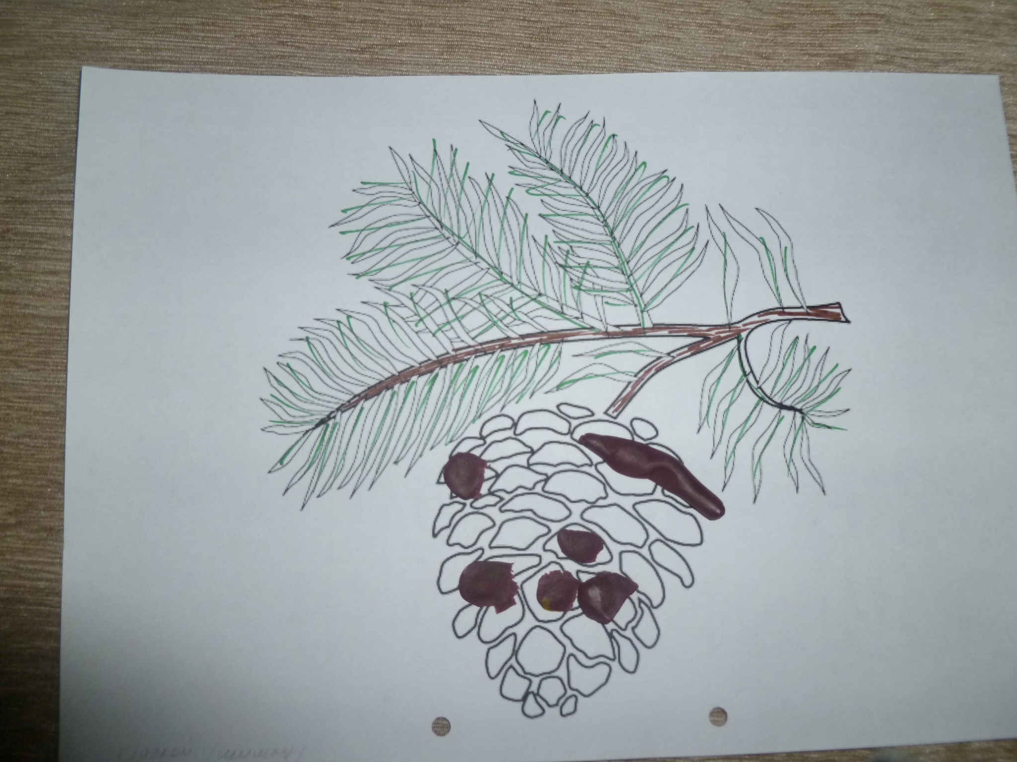 ТН "Деревья" 2 день.