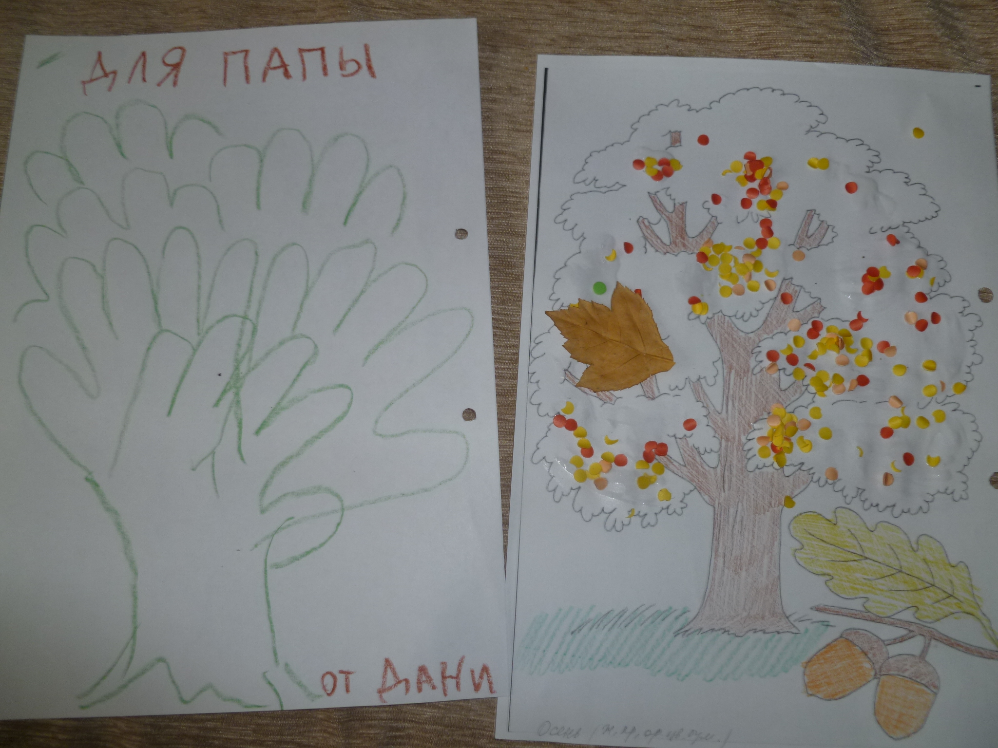 ТН "Деревья" 1 день.