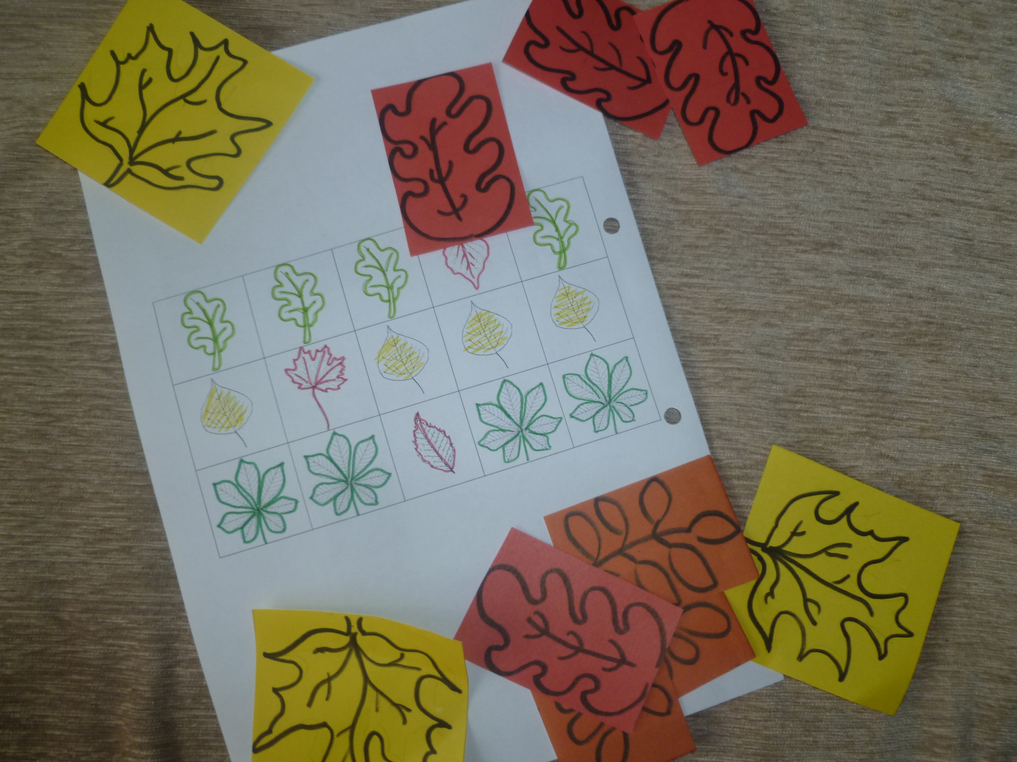 ТН "Деревья" 1 день.