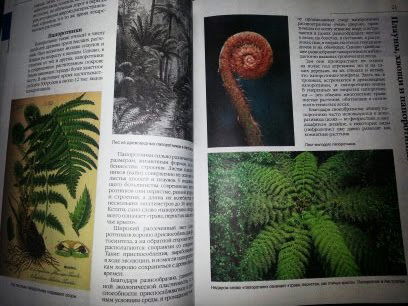 Новое из Fix-Price для школьников