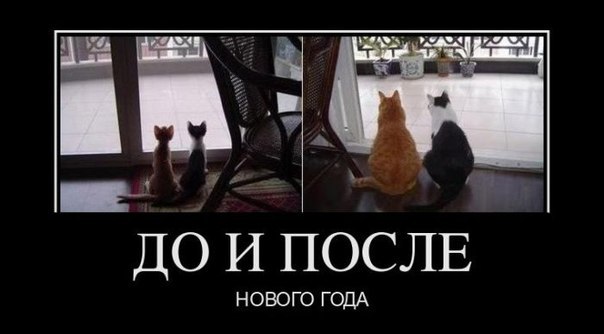 Ох уж эти праздники)