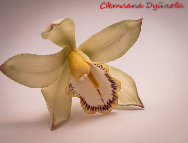 Курсы по сахарным цветам у Анны Галич