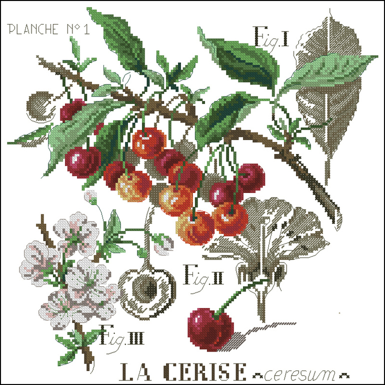 Ищу схемки ягод из серии Ботаника!