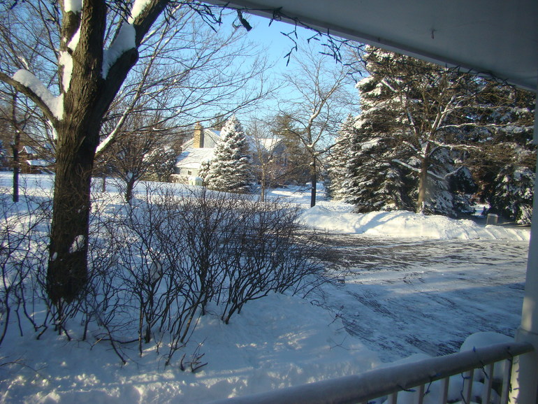 Зима разгулялась не на шутку.